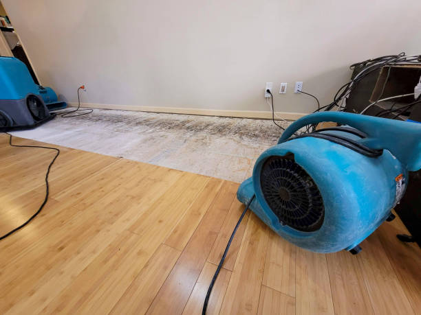 Professional Structural Drying technician working in Sellersburg, IN